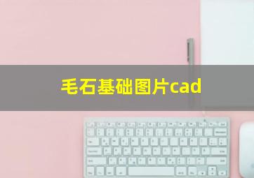 毛石基础图片cad