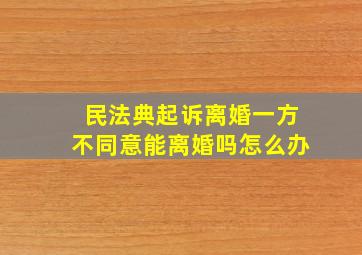 民法典起诉离婚一方不同意能离婚吗怎么办