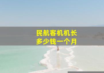 民航客机机长多少钱一个月