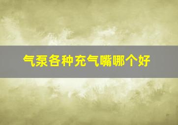 气泵各种充气嘴哪个好