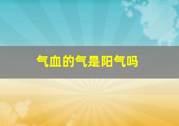 气血的气是阳气吗