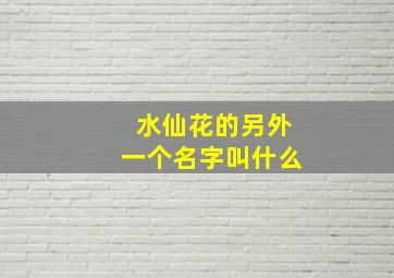 水仙花的另外一个名字叫什么