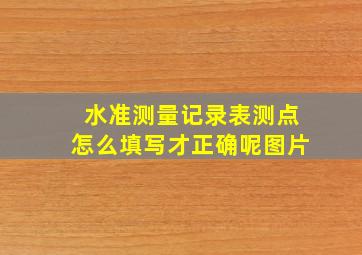 水准测量记录表测点怎么填写才正确呢图片