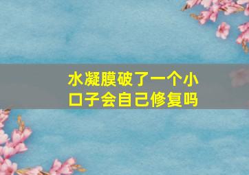 水凝膜破了一个小口子会自己修复吗