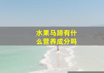 水果马蹄有什么营养成分吗