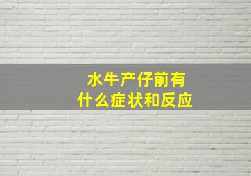 水牛产仔前有什么症状和反应