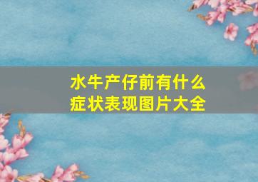 水牛产仔前有什么症状表现图片大全