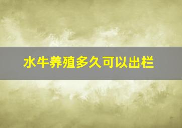 水牛养殖多久可以出栏