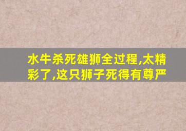 水牛杀死雄狮全过程,太精彩了,这只狮子死得有尊严