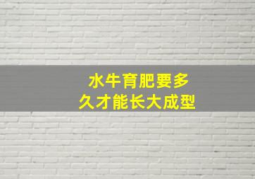 水牛育肥要多久才能长大成型