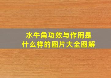 水牛角功效与作用是什么样的图片大全图解