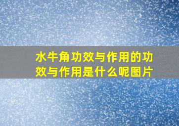 水牛角功效与作用的功效与作用是什么呢图片