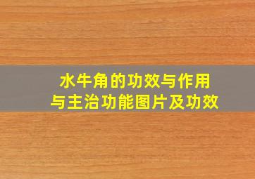 水牛角的功效与作用与主治功能图片及功效