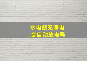 水电瓶充满电,会自动放电吗