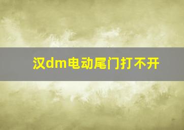 汉dm电动尾门打不开