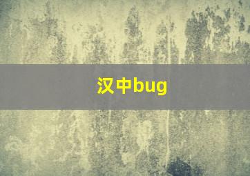 汉中bug