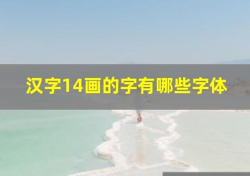 汉字14画的字有哪些字体