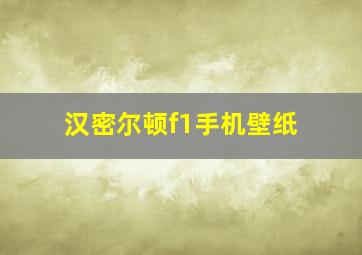 汉密尔顿f1手机壁纸