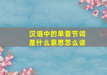 汉语中的单音节词是什么意思怎么读