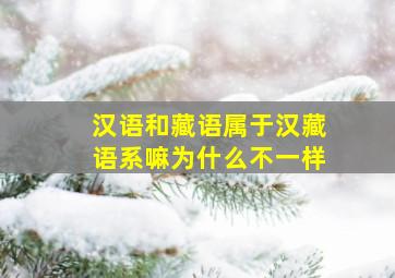 汉语和藏语属于汉藏语系嘛为什么不一样