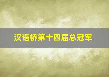 汉语桥第十四届总冠军