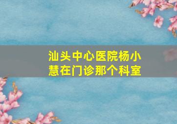 汕头中心医院杨小慧在门诊那个科室