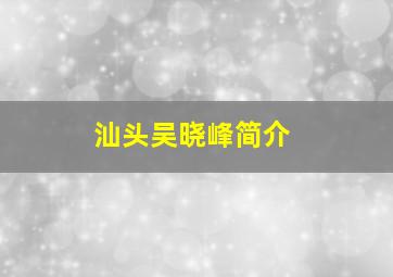 汕头吴晓峰简介