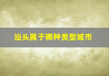 汕头属于哪种类型城市