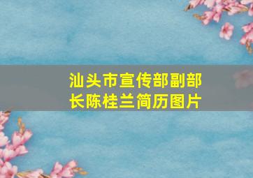 汕头市宣传部副部长陈桂兰简历图片