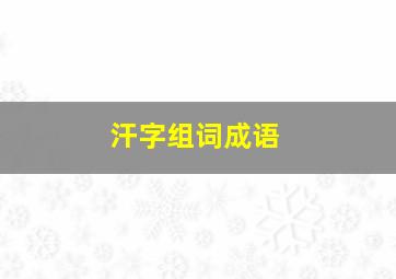 汗字组词成语