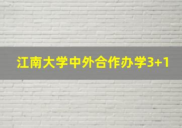 江南大学中外合作办学3+1