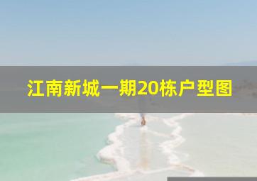 江南新城一期20栋户型图