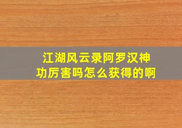 江湖风云录阿罗汉神功厉害吗怎么获得的啊