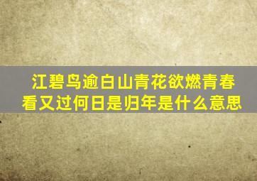 江碧鸟逾白山青花欲燃青春看又过何日是归年是什么意思