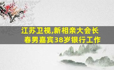 江苏卫视,新相亲大会长春男嘉宾38岁银行工作