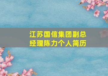 江苏国信集团副总经理陈力个人简历