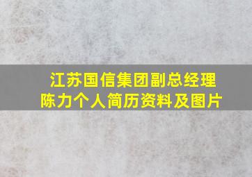 江苏国信集团副总经理陈力个人简历资料及图片