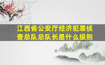 江西省公安厅经济犯罪侦查总队总队长是什么级别