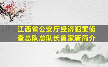 江西省公安厅经济犯罪侦查总队总队长曾家新简介