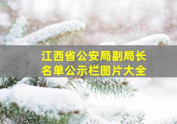 江西省公安局副局长名单公示栏图片大全