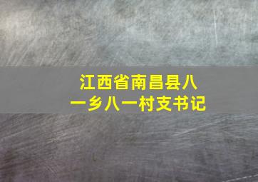 江西省南昌县八一乡八一村支书记