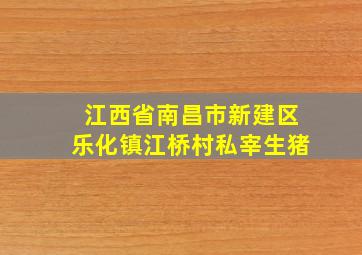 江西省南昌市新建区乐化镇江桥村私宰生猪