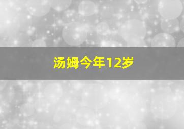 汤姆今年12岁