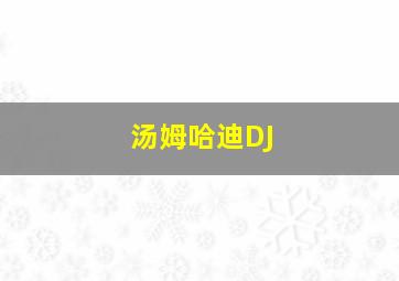 汤姆哈迪DJ