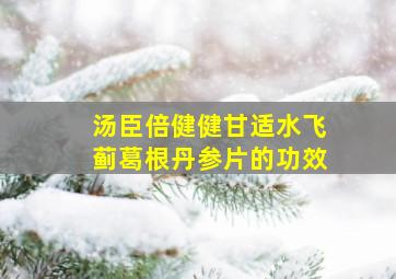 汤臣倍健健甘适水飞蓟葛根丹参片的功效