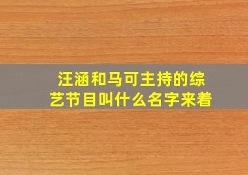 汪涵和马可主持的综艺节目叫什么名字来着