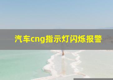 汽车cng指示灯闪烁报警