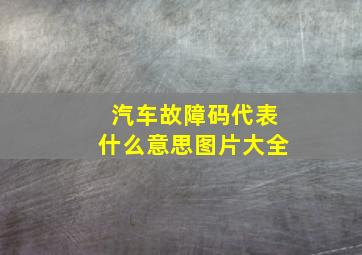 汽车故障码代表什么意思图片大全