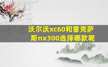 沃尔沃xc60和雷克萨斯nx300选择哪款呢