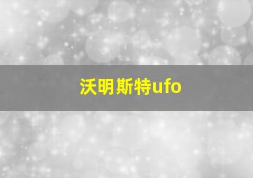 沃明斯特ufo